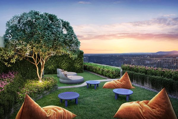 Rooftop Lounge